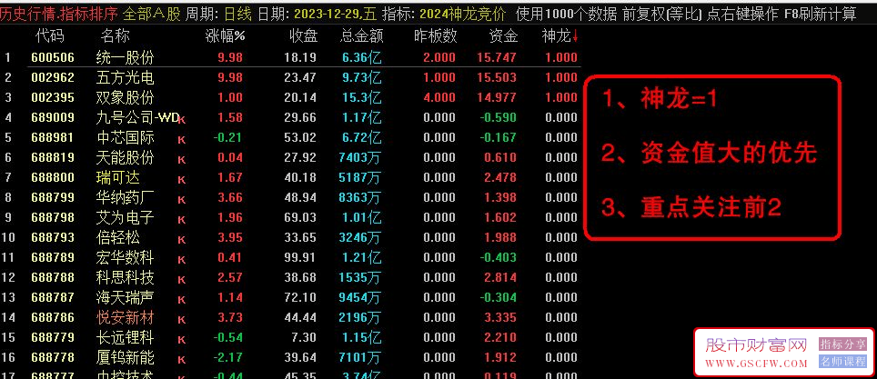 通达信【2024神龙竞价】竞价排序指标，信号全天不变！源码附图_展示图_02
