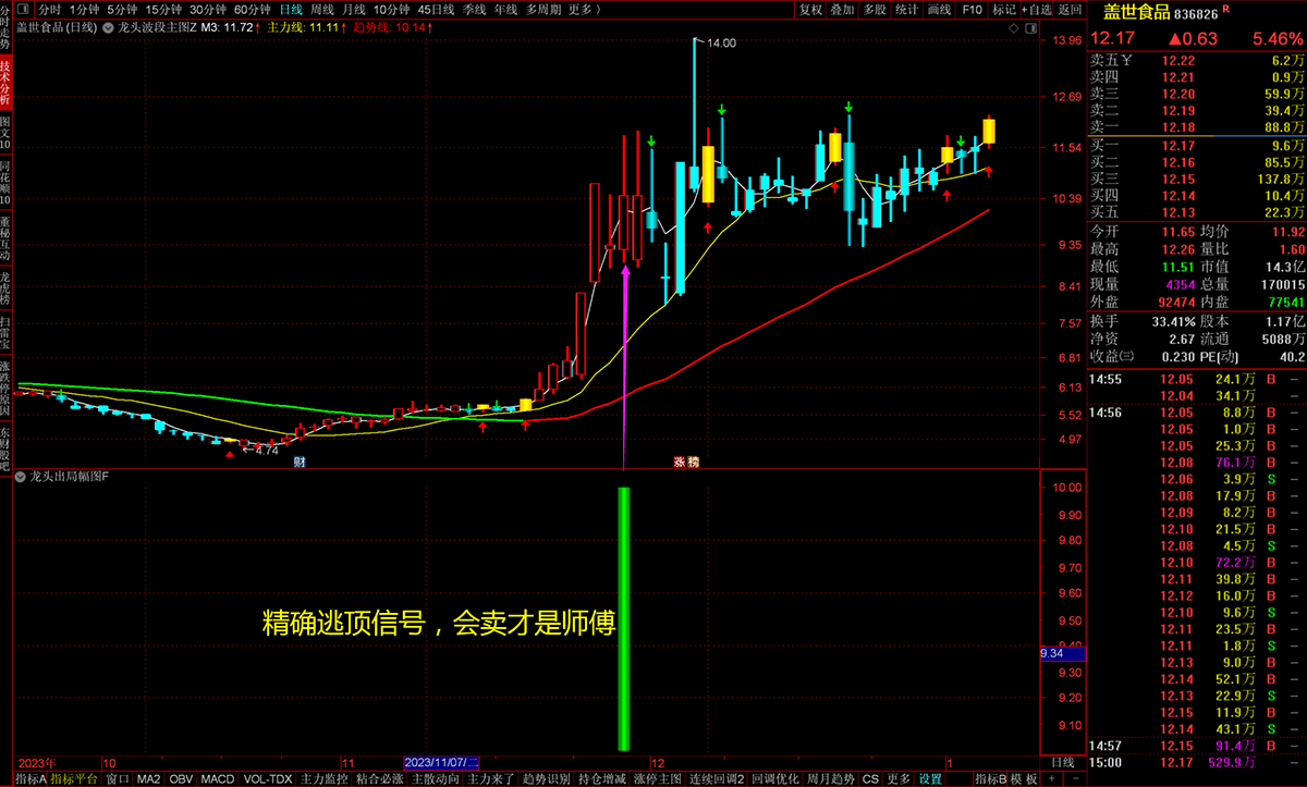 通达信【龙头封神系统】完整版公式组,擒龙头妖股,突破,抄底,逃顶,整套策略都有文件分享_展示图_19