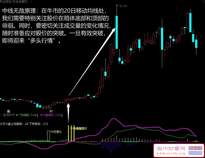通达信【翻倍买点】副图+选股,买点掌控永不愁附图_展示图_06
