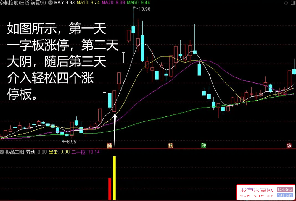 通达信【极品二阳】副图+选股,涨停次日大阴,第三日过大阴出现大阳附图_展示图_01