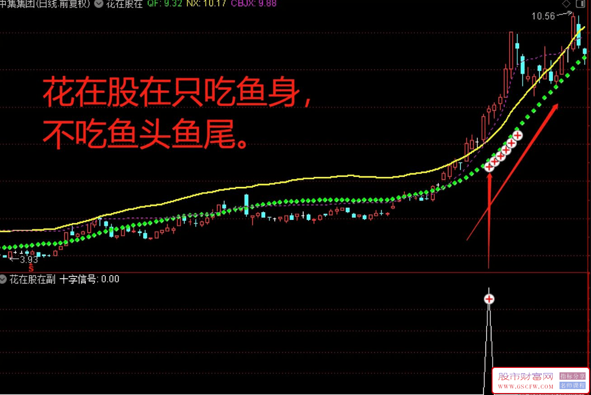 通达信【花在股在】主副图+选股,指标主要帮助我们选择强势股附图_展示图_02