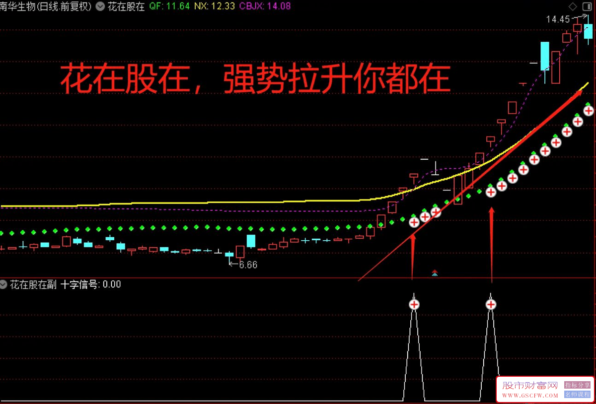 通达信【花在股在】主副图+选股,指标主要帮助我们选择强势股附图_展示图_01