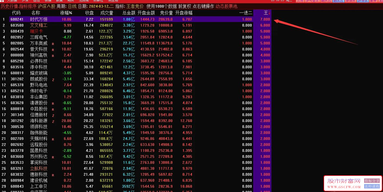 通达信【王者竞价】排序指标,选择取数值第一,无需做选择题附图_展示图_01
