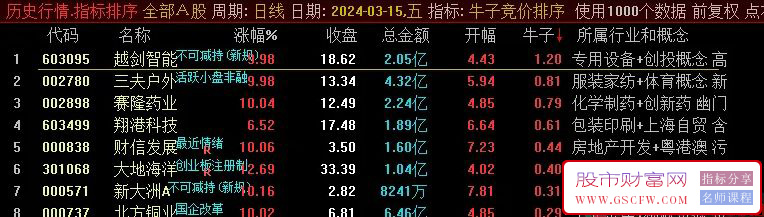 通达信【牛子竞价排序】竞价指标,风起云涌,股票暴涨,谁与争锋附图_展示图_02