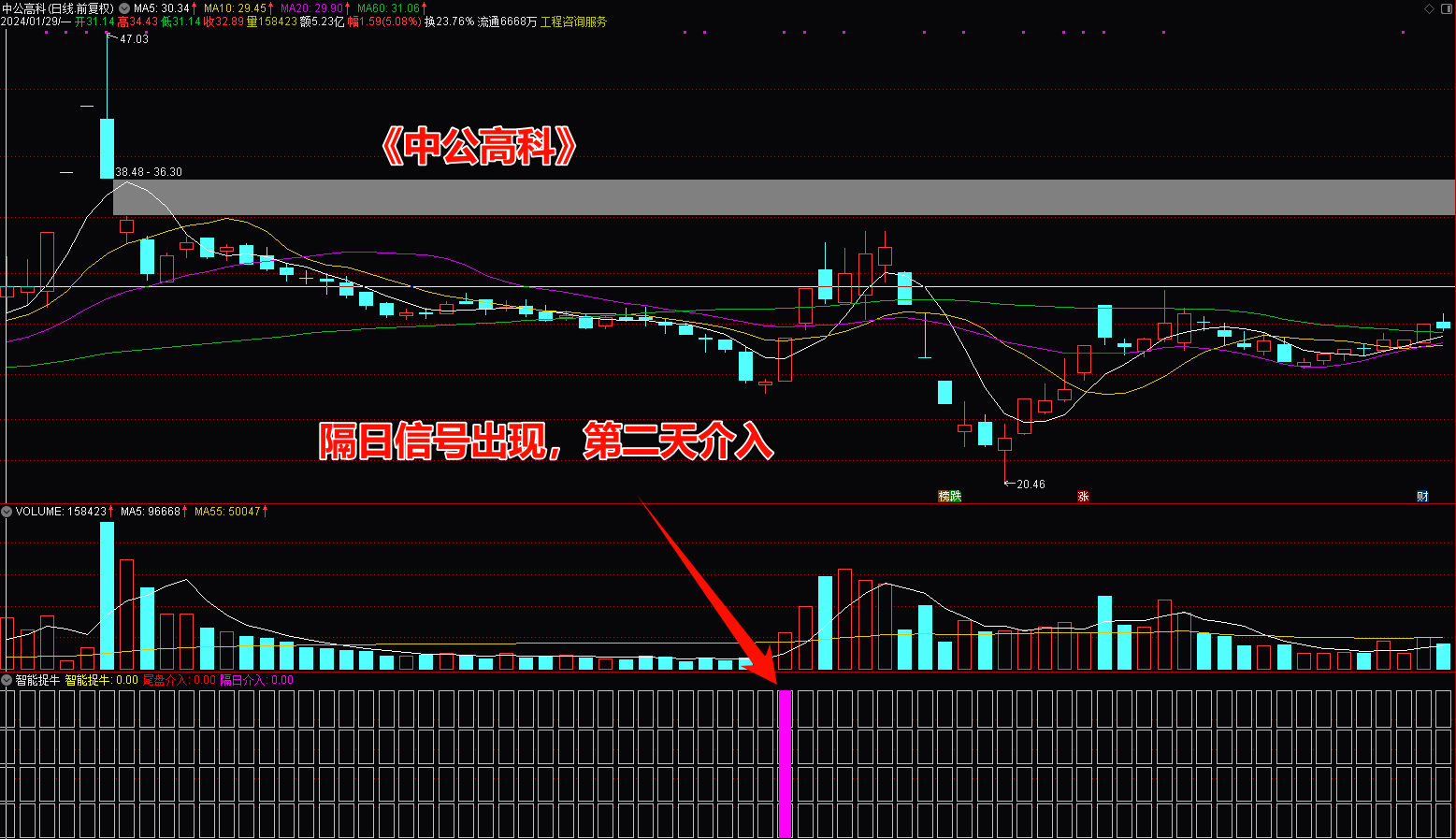 【智能捉牛】捕捉牛股利器，三种模式操作，捉牛、尾盘、隔日操作_展示图_22