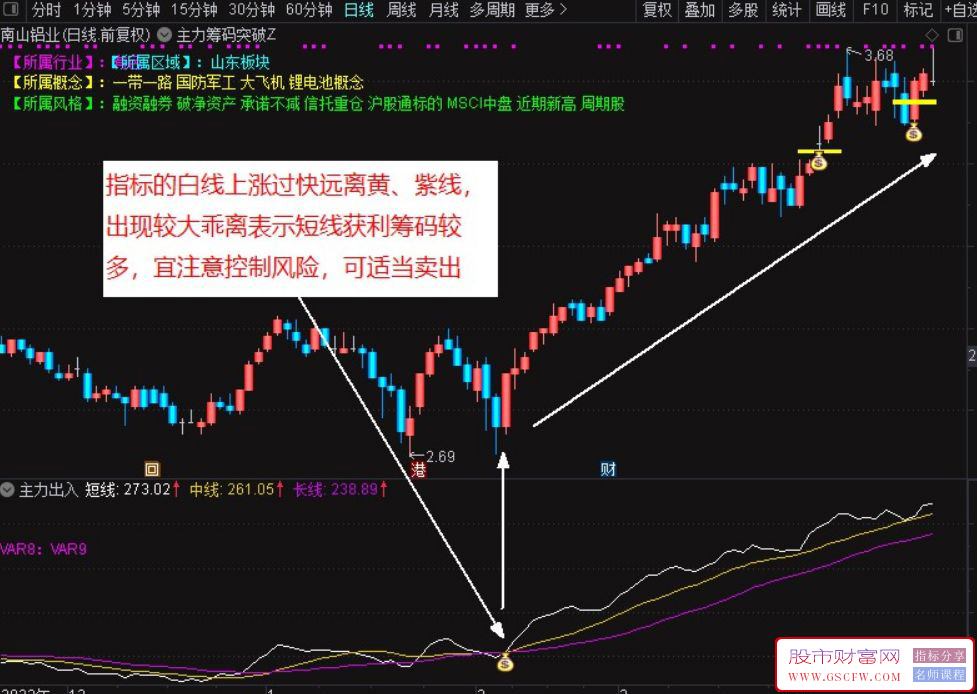 通达信主力出入副图指标,用三条线段标示出主力运作轨迹附图_展示图_01