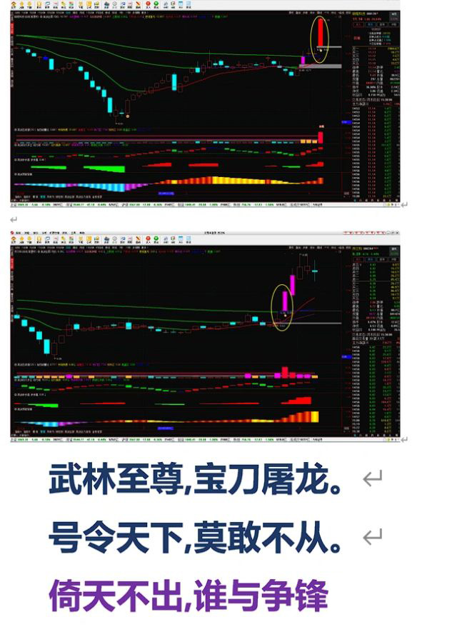 通达信【亮剑指标全集】某音的财商课要缴学费几W才晋级的圆梦高级班的指标附图,[通达信]_展示图_07 ... ... ...
