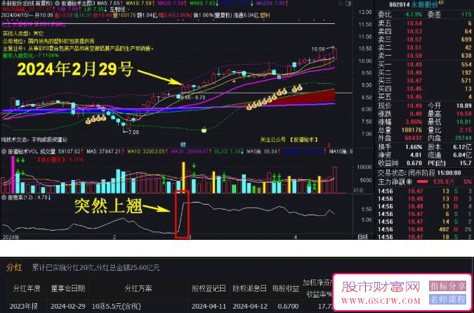 【价值重磅】通达信之股息率选股器分享_展示图_03