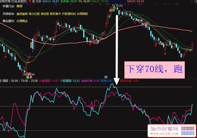 通达信【强弱】副图指标,辨别强势股附图_展示图_03