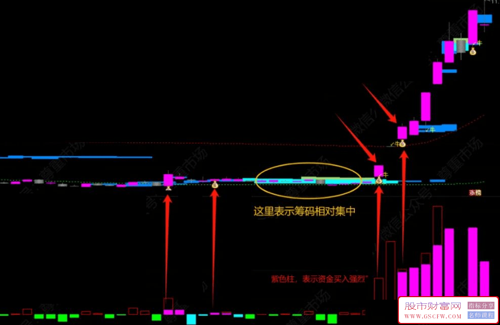 通达信【筹码启动擒大牛】主副图+选股指标附图_展示图_03