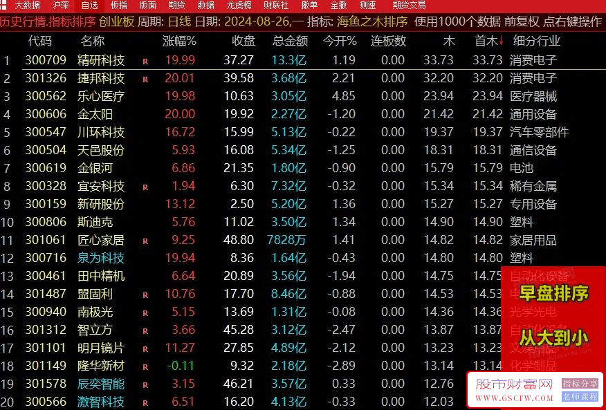 【精品指标】《海鱼之木》超级竞价排序指标,继海鱼之火之后又一新作_展示图_01