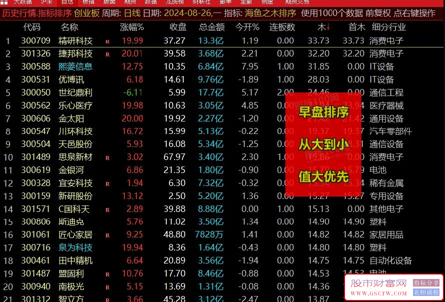 【精品指标】《海鱼之木》超级竞价排序指标,继海鱼之火之后又一新作_展示图_02