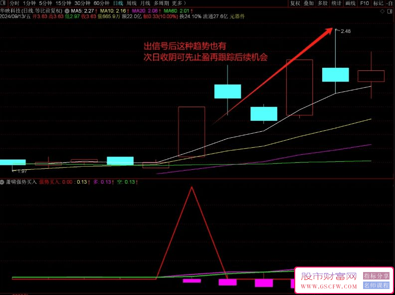 通达信【萧啸强势买入】副图+选股器，精准识别市场领涨股_展示图_05