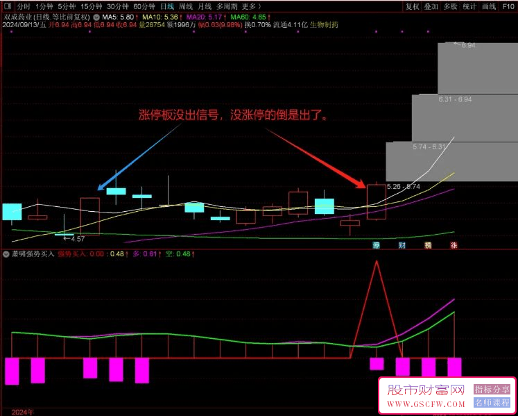 通达信【萧啸强势买入】副图+选股器，精准识别市场领涨股_展示图_06