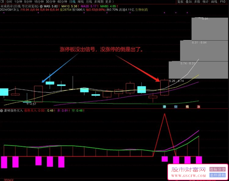 通达信【萧啸强势买入】副图+选股器，精准识别市场领涨股_展示图_07