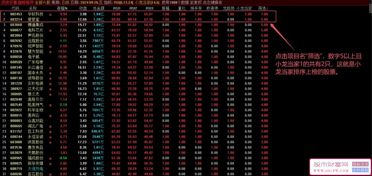 通达信【小龙当家】竞价系统技术指标:升级优化的集合竞价排序与选股利器，含副图+选股_展示图_02