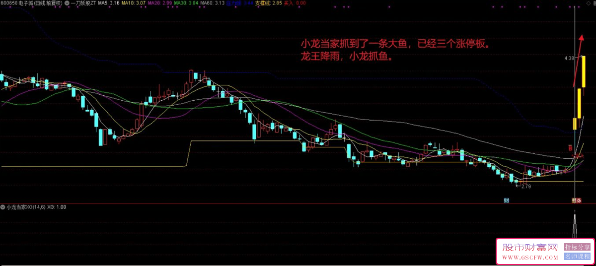 通达信【小龙当家】竞价系统技术指标:升级优化的集合竞价排序与选股利器，含副图+选股_展示图_05