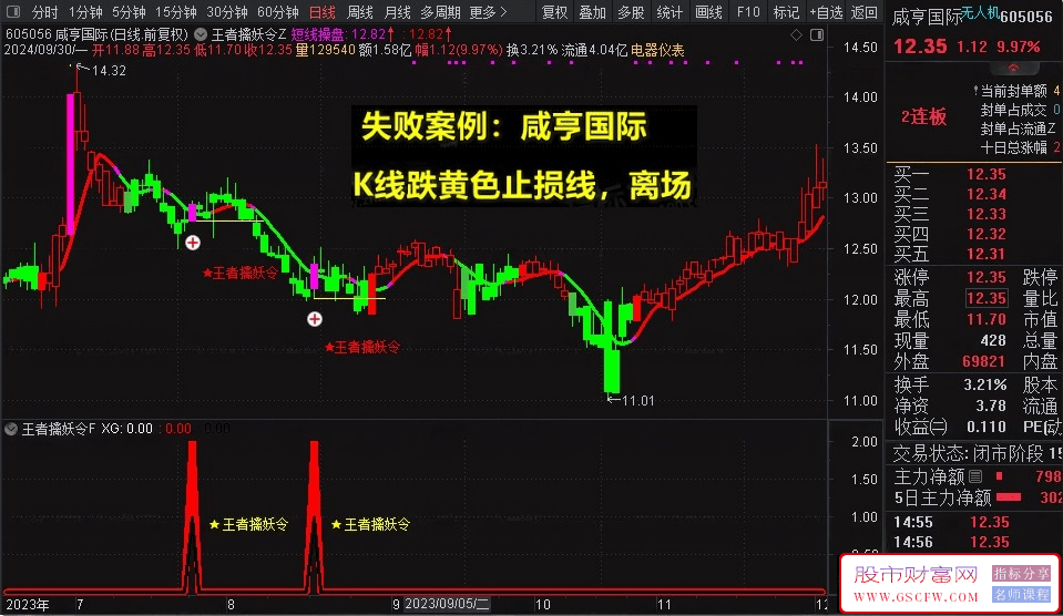 【王者擒妖令】VIP珍藏版，捉妖一字板，股市把利剑，以王者之姿，精准出击！皇者擒妖令98_展示图_10