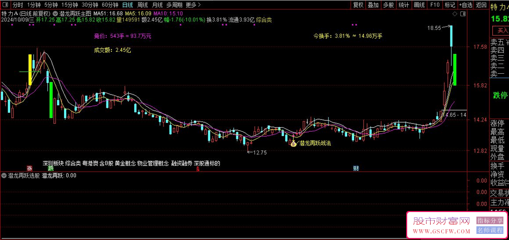 通达信“潜龙再跃”实战策略:精准择时与选股的艺术_展示图_01