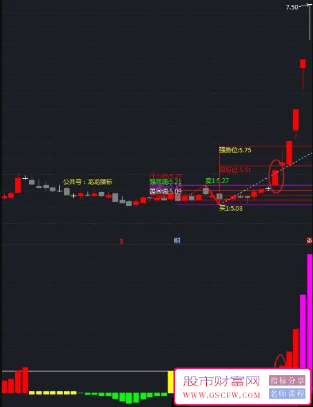 通达信“疯牛预知者”主副图技术指标套装-,主升浪精准预测与主力追踪_展示图_03