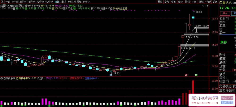 通达信自由流通股本换手率副图技术指标-,深度解读实际换手率_展示图_01