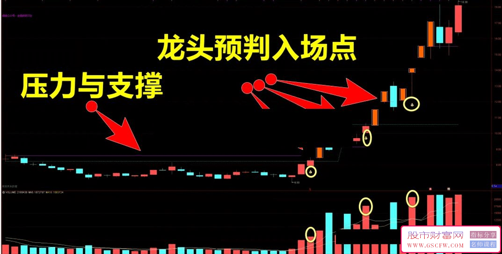 通达信顶尖龙头预测指标-,掌握妖股起涨与突破的关键工具！提供主图与选股指标_展示图_01