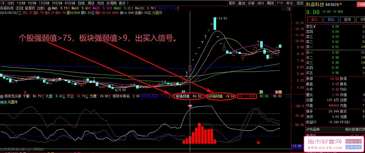 强势【板块龙头精选】深度剖析行业领导者，聚焦双成、华强、科森、大众等领先股的全面捕捉。_展示图_01
