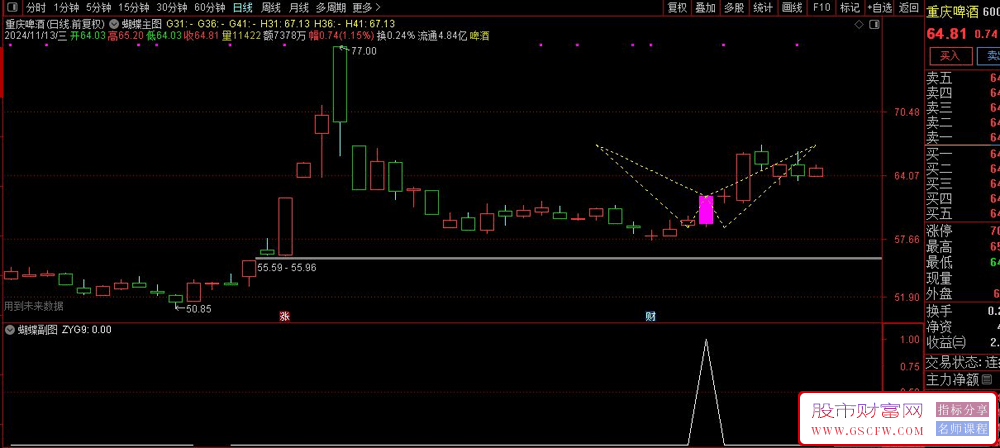 通达信【蝴蝶形态实战技巧】主副图+选股某平台售价888元的专业技术分析工具,源代码提供_展示图_09