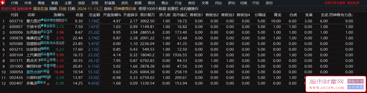 通达信【四神兽竞价排】竞价排序技术指标——体验智慧竞价交易的全新境界_展示图_02