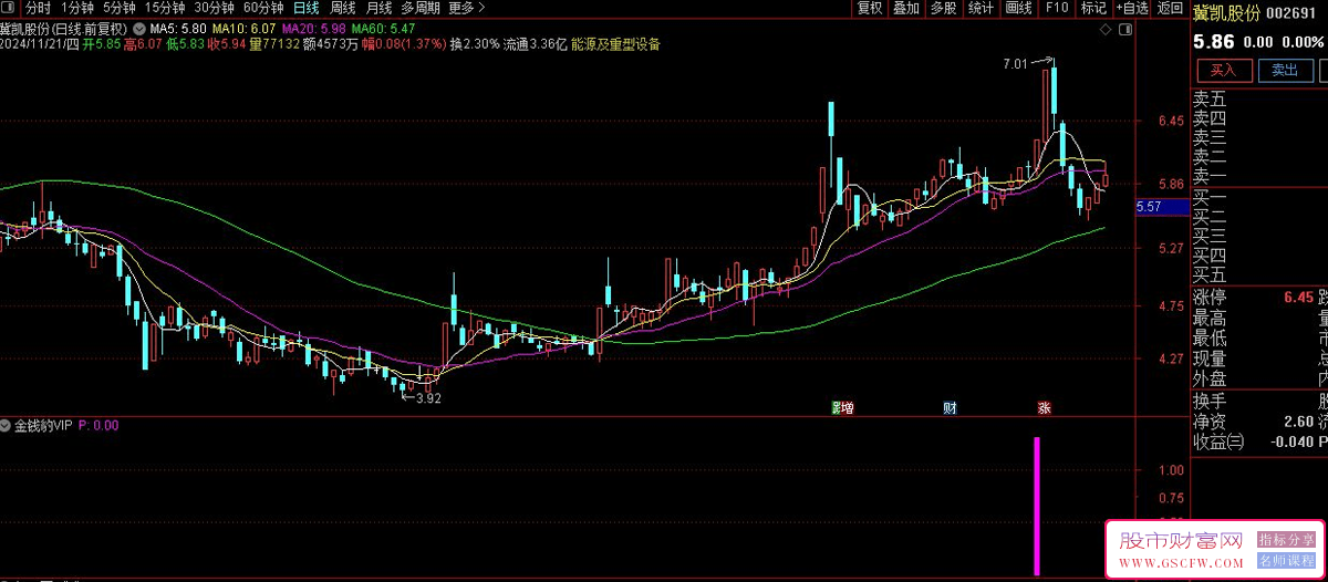 通达信金钱豹VIP二合一版每天1~2票,信号简单,一看就会使用_展示图_02