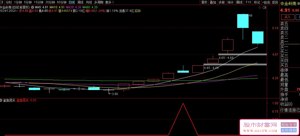 通达信【鲨鱼尾买】本年成功率92%的尾买指标,副图+选股_展示图_08