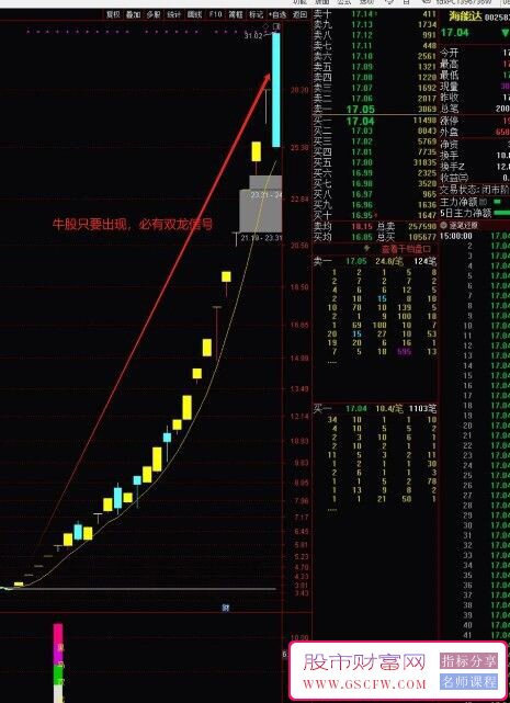 通达信【黑马双龙启动】比肩股神，双龙腾飞只抓黑马龙头！副图+选股_展示图_04