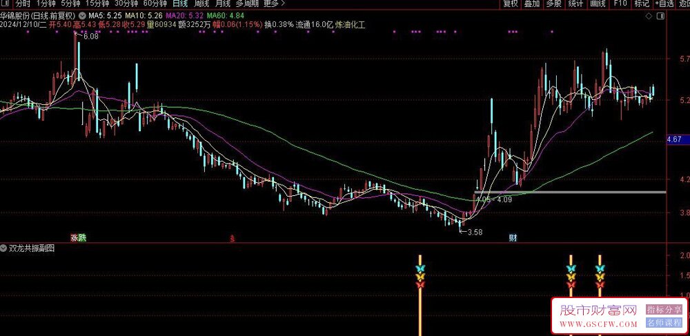 通达信【双龙共振】副图+选股指标,捕捉低位龙头股_展示图_03