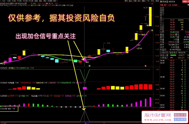 【低风险跟庄实战系列之No.15】神龙战法主图，龙头加仓超简单！机构监视,涨停游资,庄家透视,加仓选股_展示图_02
