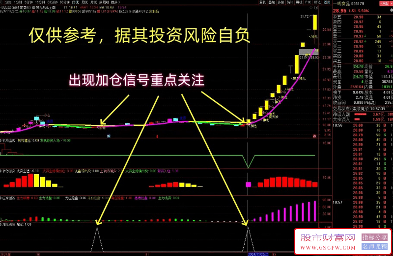【低风险跟庄实战系列之No.15】神龙战法主图，龙头加仓超简单！机构监视,涨停游资,庄家透视,加仓选股_展示图_05