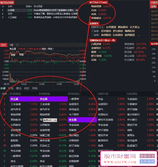 通达信【市场热点】情绪选股,开盘初期即知当天热点_展示图_02