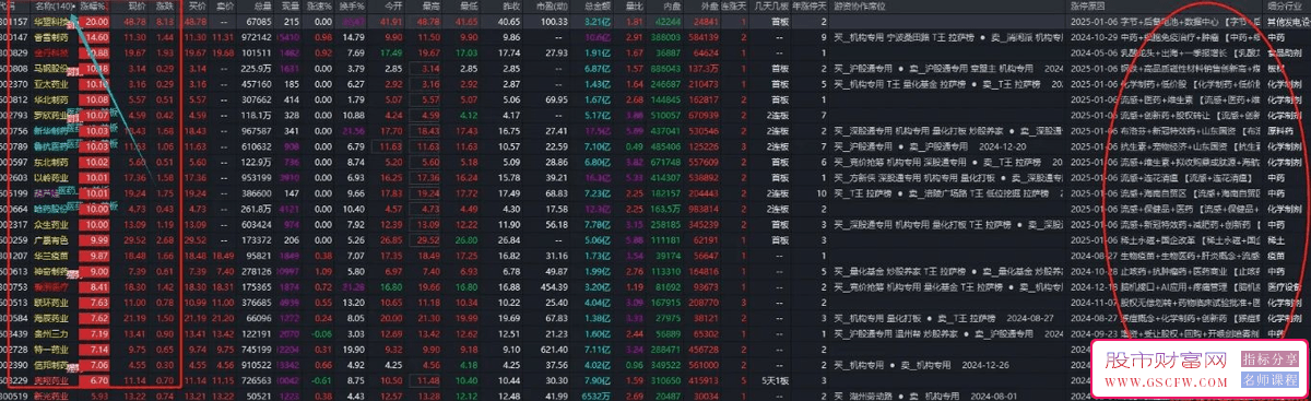 通达信【市场热点】情绪选股,开盘初期即知当天热点_展示图_05