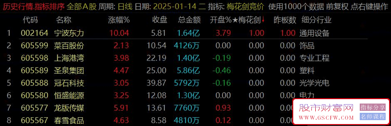 通达信【梅花剑+太子剑】早盘竞价排序,快速锁定优质目标,指标源码,永久版！_展示图_03