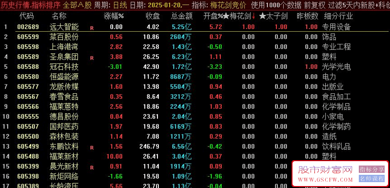通达信【梅花剑+太子剑】早盘竞价排序,快速锁定优质目标,指标源码,永久版！_展示图_08