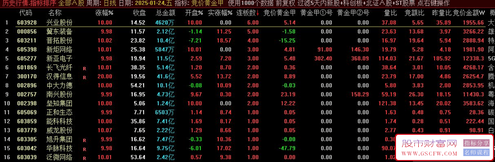 通达信【竞价黄金甲】排序,竞价黄金甲、黄金甲1号和黄金甲2号_展示图_02