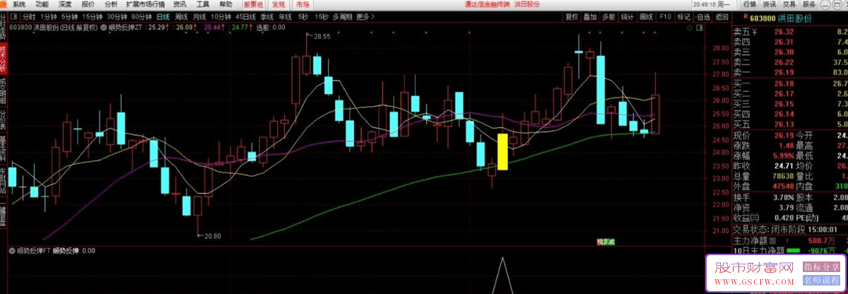 通达信【顺势反弹】主副图+选股,触发信号分时企稳均价线可低吸,信号极少_展示图_06