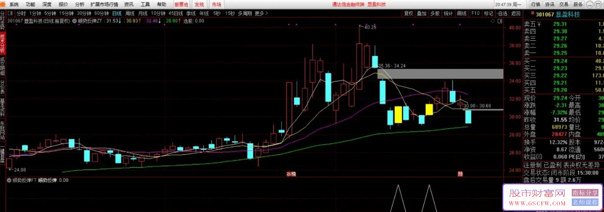 通达信【顺势反弹】主副图+选股,触发信号分时企稳均价线可低吸,信号极少_展示图_10