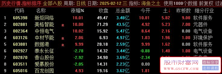 通达信金钻精品【海鱼之土】竞价排序,取排序最大值,开盘进收盘出,一天一股！源码_展示图_05