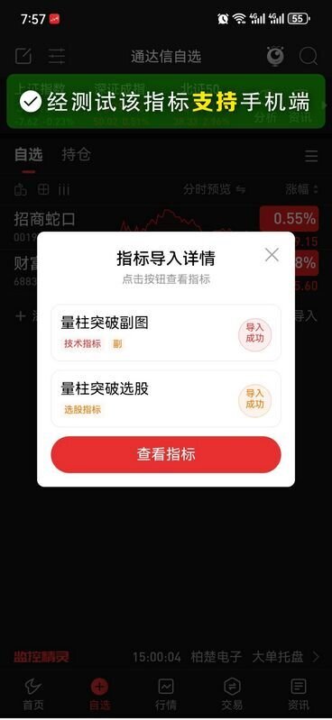 通达信量柱突破副图+选股指标,成家量形态捕捉短线牛_展示图_06