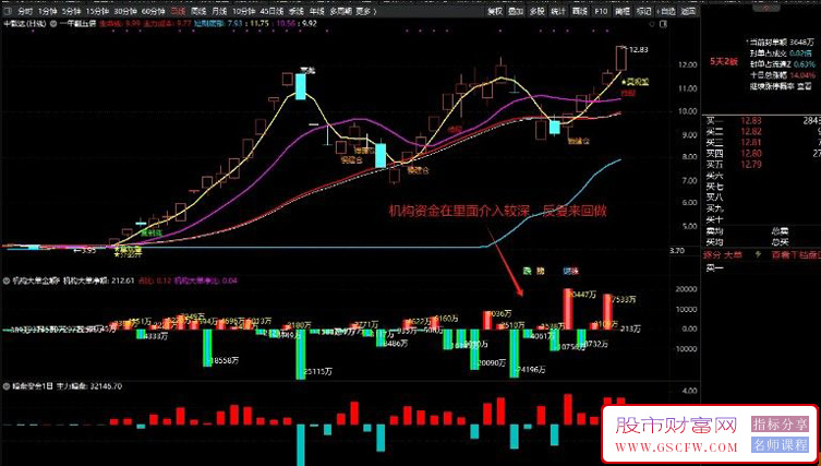 通达信【机构大单金额】+暗盘资金副图指标,万变不离其宗，资金永不眠！_展示图_06