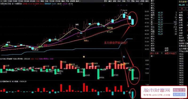 通达信【机构大单金额】+暗盘资金副图指标,万变不离其宗，资金永不眠！_展示图_07