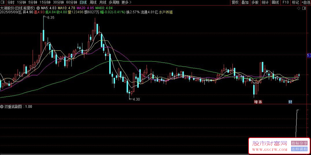 通达信〖双重底〗副图+选股,双底形态指标解读与应用策略_展示图_02