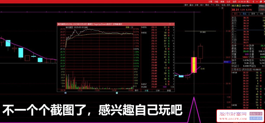 通达信【盘中强龙】副图+选股预警,盘中首板强势信号_展示图_11