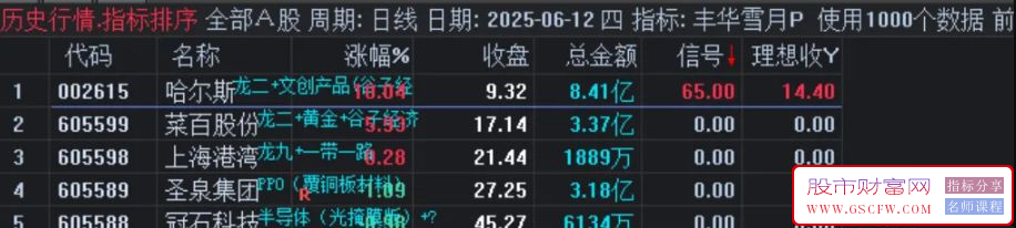 通达信【丰华雪月】一进二竞价排序选股,高成功率与超高稳定性_展示图_03