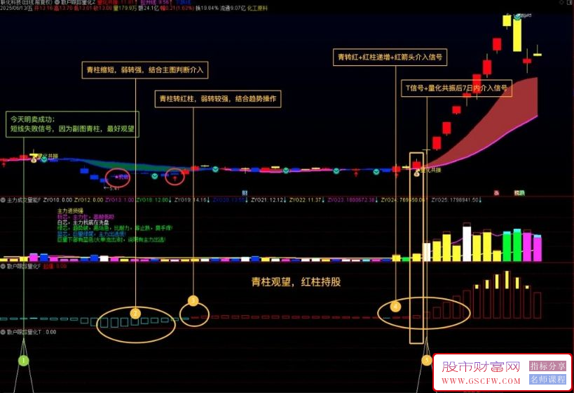 通达信【散户救星】主副图+选股,散户跟踪精准量化指标,使用说明_展示图_02